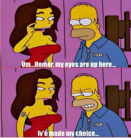 i've made my choice - Homer