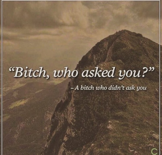 Bitch who asked you? - A bitch who didn't asked you