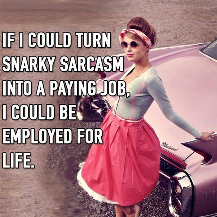 If I could turn snarky sarcasm into a paying job