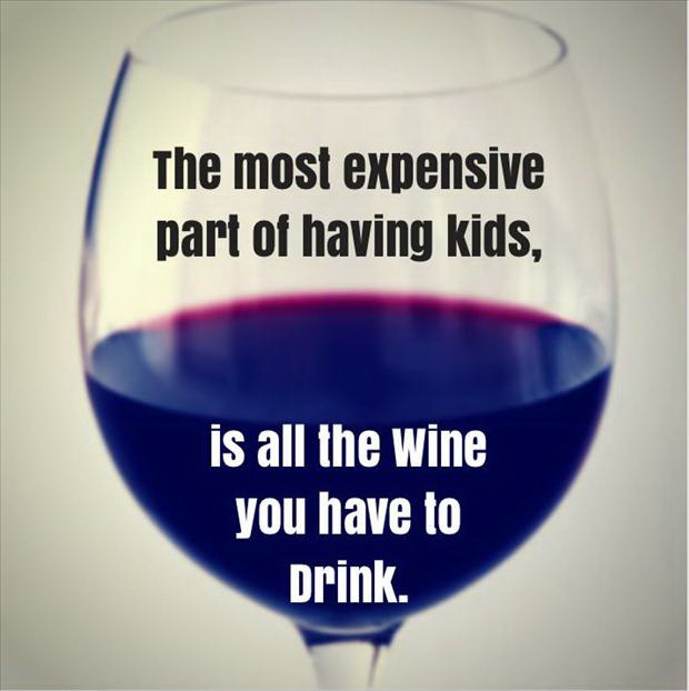 The most expensive part of having kids is all the wine you have to drink
