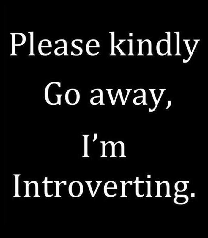 Please kindly go away I'm introverting