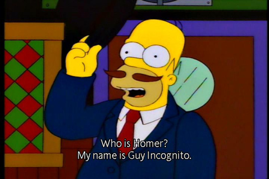 Who is Homer? - My name is Guy Incognito - The Simpsons