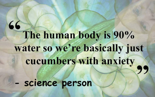 We're basically just a cucumbers with anxiety